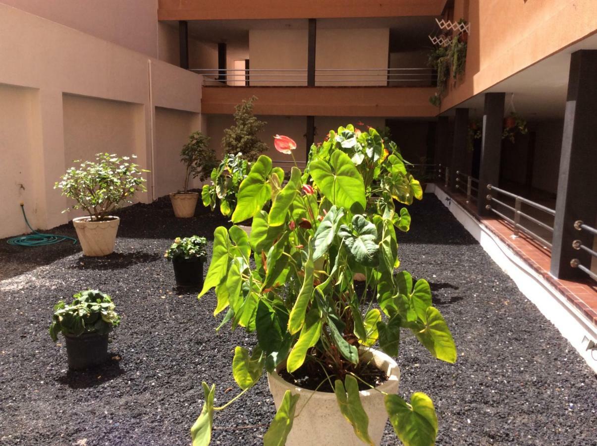 Апартаменты Martianez Puerto de la Cruz (Tenerife) Exterior photo